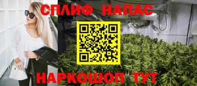 индика Жуковский