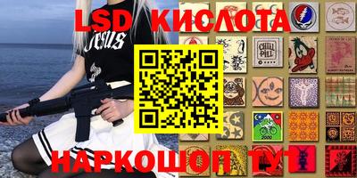 индика Жуковский