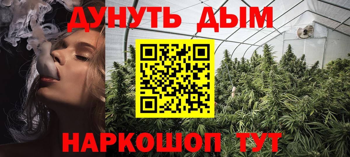 Шишки марихуана White Widow  Марихуана VHQ  Вход с VPN  Елизово 